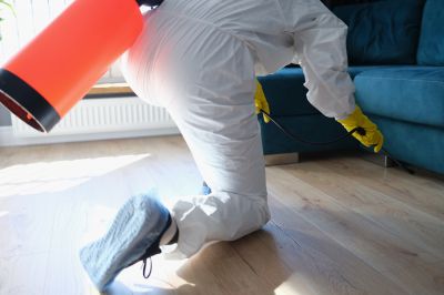 Fumigation Service in Fort Collins, CO