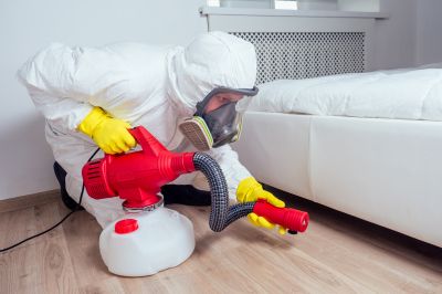 Post-Fumigation Safety Checks
